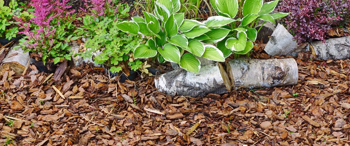 plaquette de bois dans un jardin